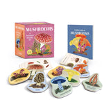 Mushrooms: A Wooden Magnet Set