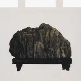 Parasite Scholar's Rock Tote
