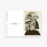 Botanicum Postcard Box Set