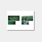 Collage of four images on a white background