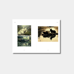 Framed artwork with four images of a person and a horse in a reflective body of water.