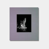 Book cover with minimalist, square design with a central black-and-white photograph of a glowing bird sculpture set on a purple background.