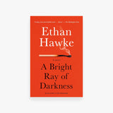A Bright Ray of Darkness: A novel