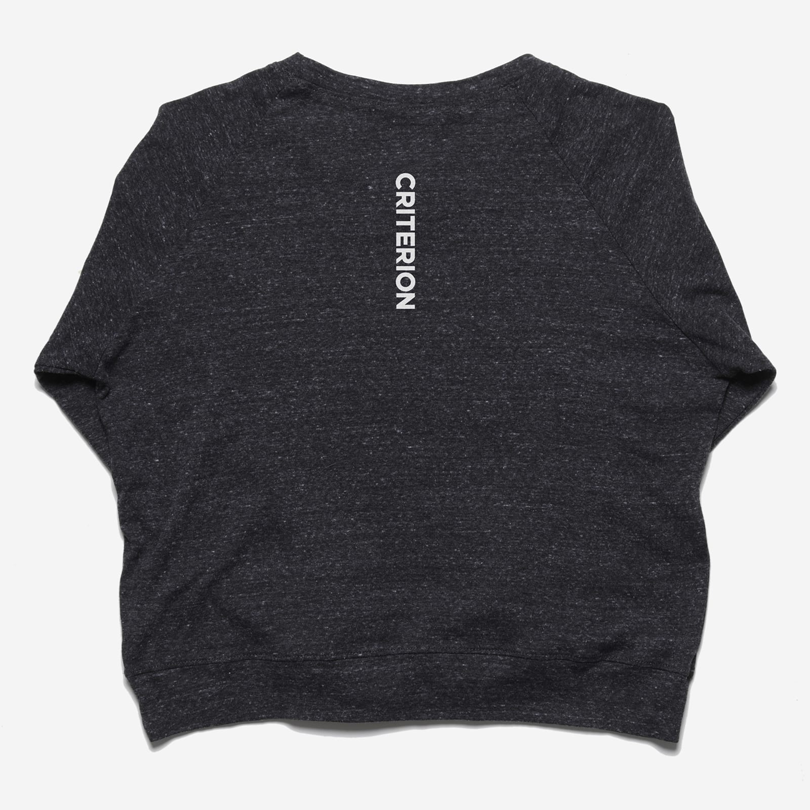 Dark gray t-shirt with 'CRITERION' logo on the back against a white background