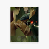 Movie cover with hands holding each other and 'World of Wong Kar Wai' text.
