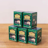 My Neighbor Totoro So Many Poses! Totoro Blind Box Version 2